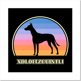 Xoloitzcuintli Vintage Sunset Dog Posters and Art